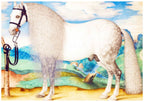A Dappled Grey Stallion Tethered In A Landscape - Hakyarts