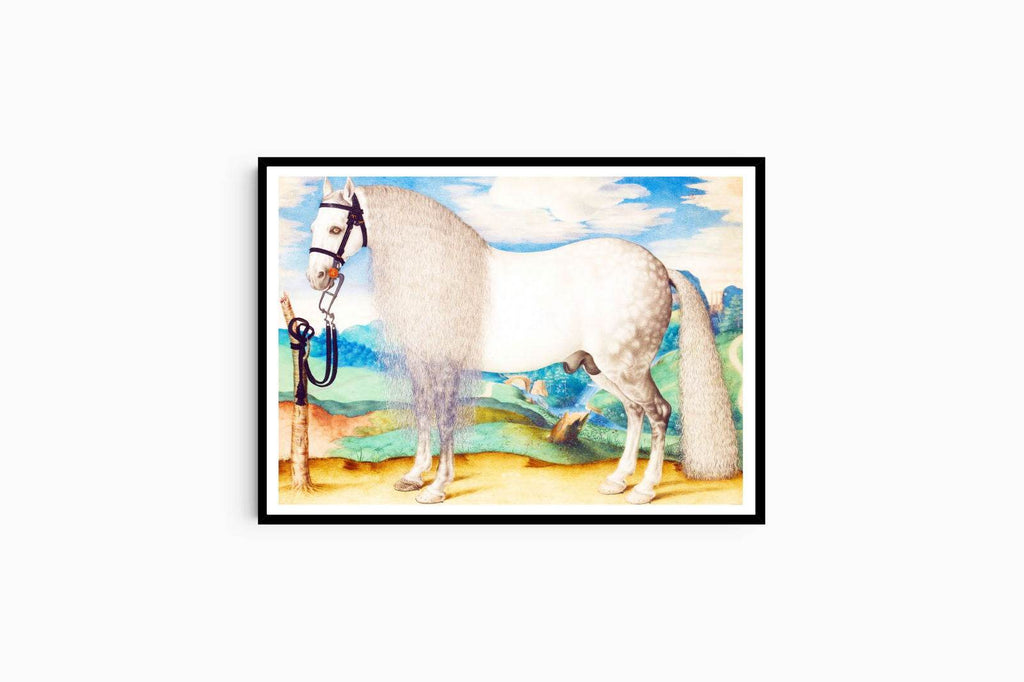 A Dappled Grey Stallion Tethered In A Landscape - Hakyarts