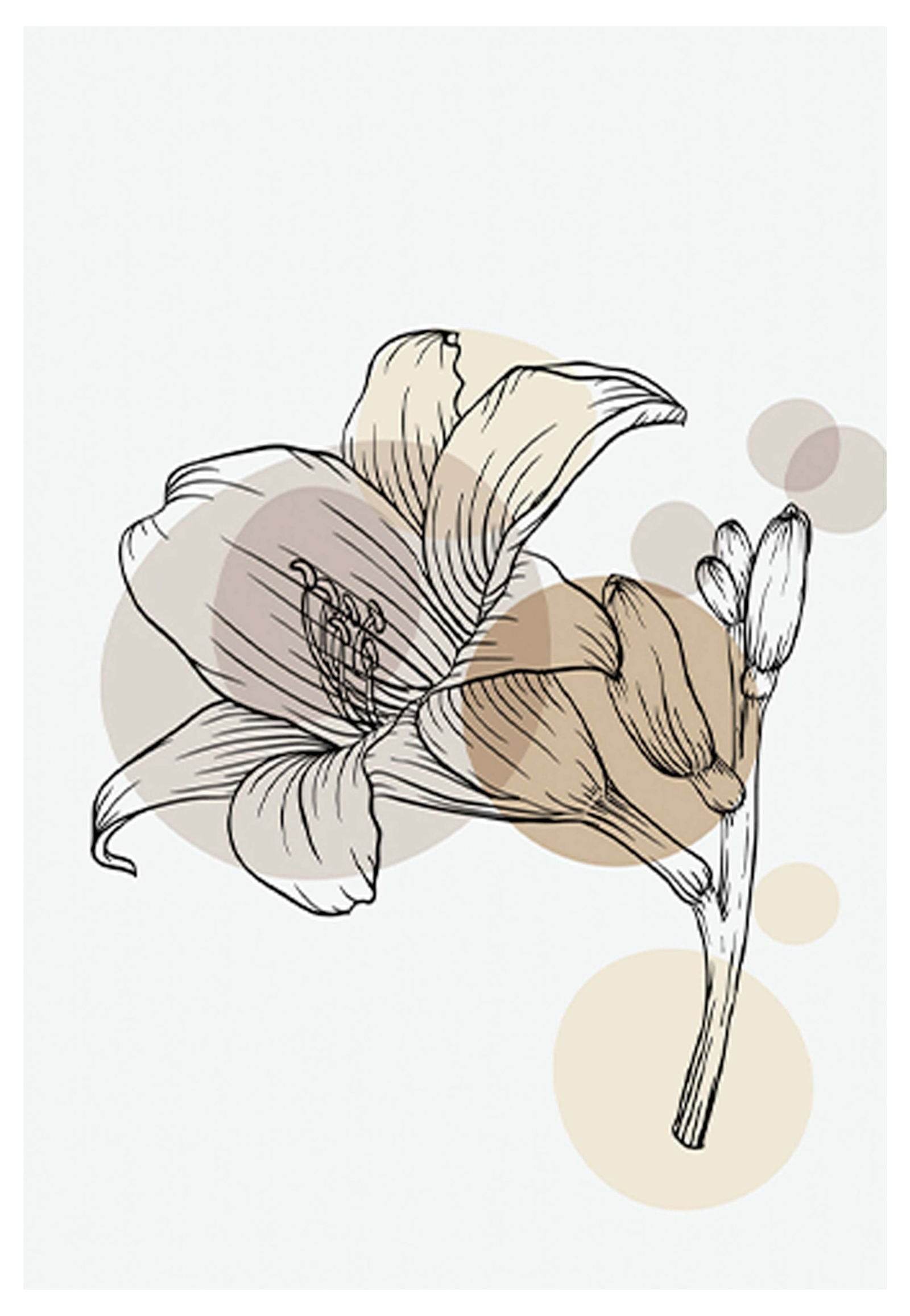 Abstract Floral No 2 Poster - Hakyarts