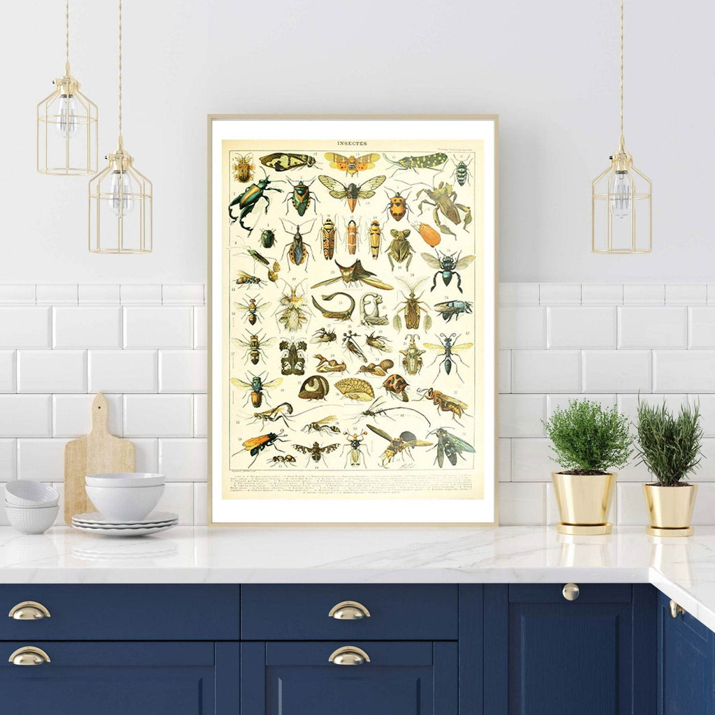 Adolphe Millot - Insectes II Poster - Hakyarts