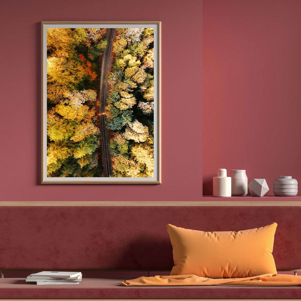 Aerial View of a Forest - Hakyarts