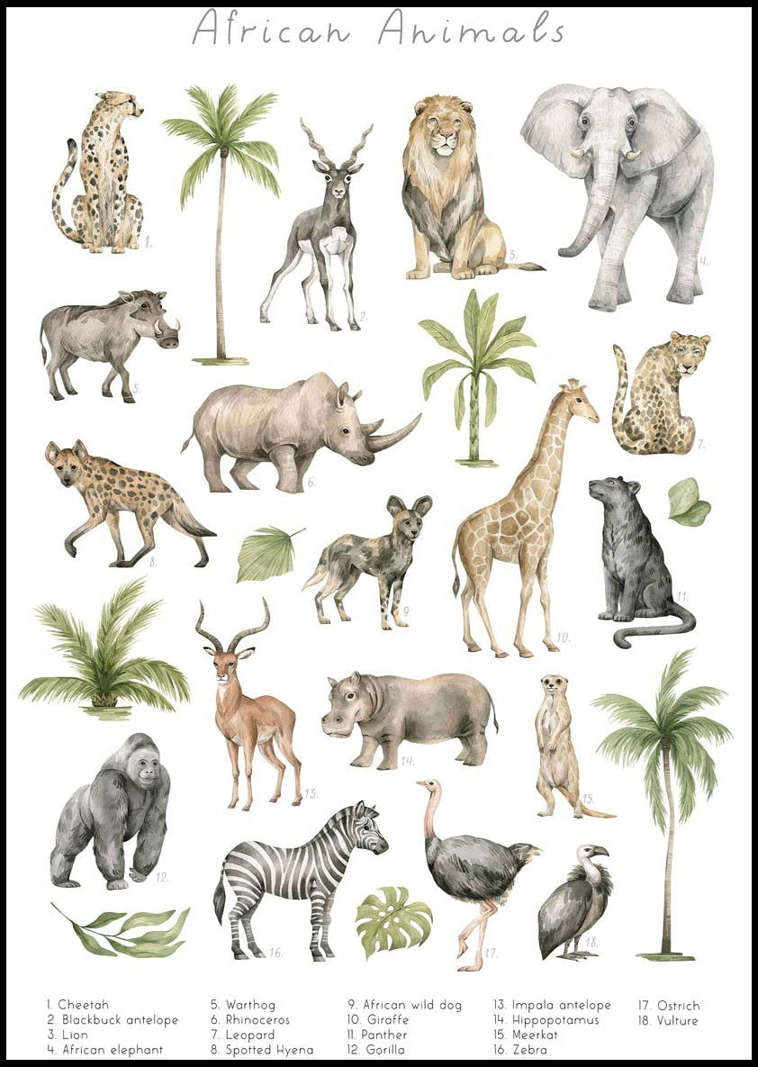 African Animals Poster