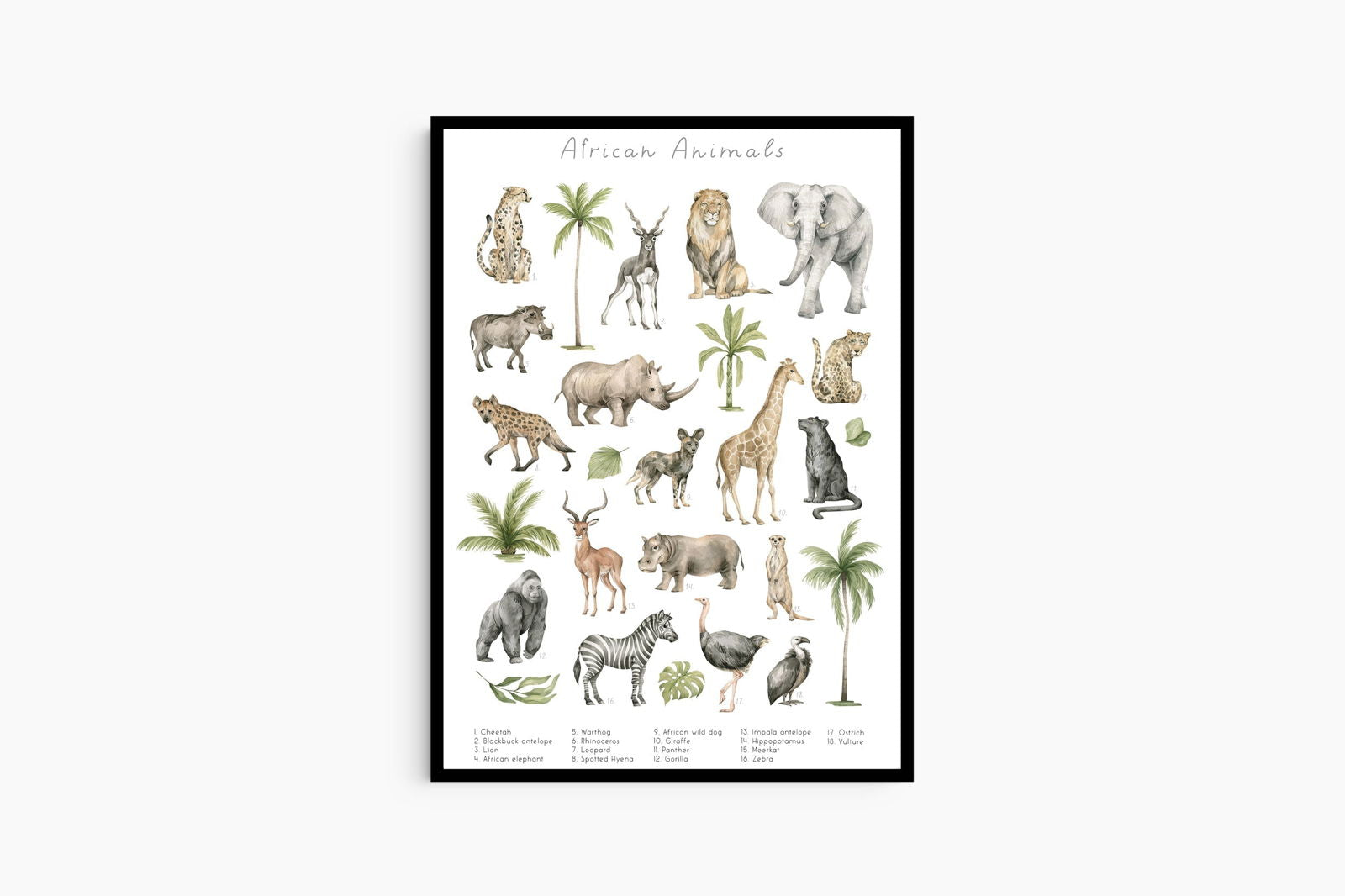 African Animals Poster