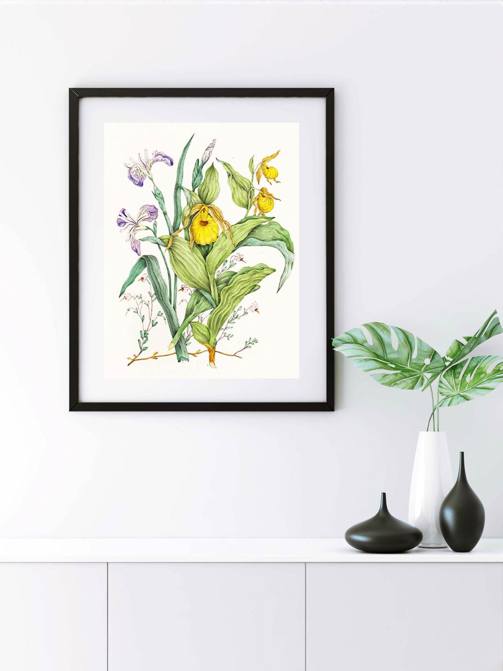 Agnes Fitzgibbon - Yellow Lady's Slippers - Hakyarts