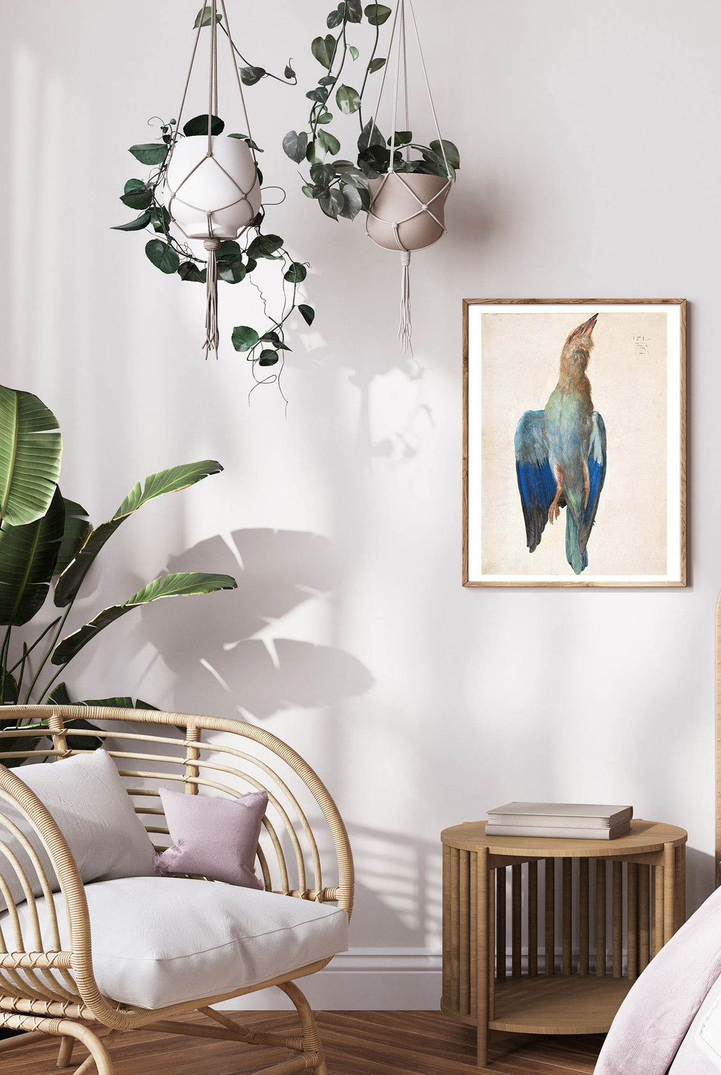 Albrecht Dürer - Dead Blue Roller - Hakyarts