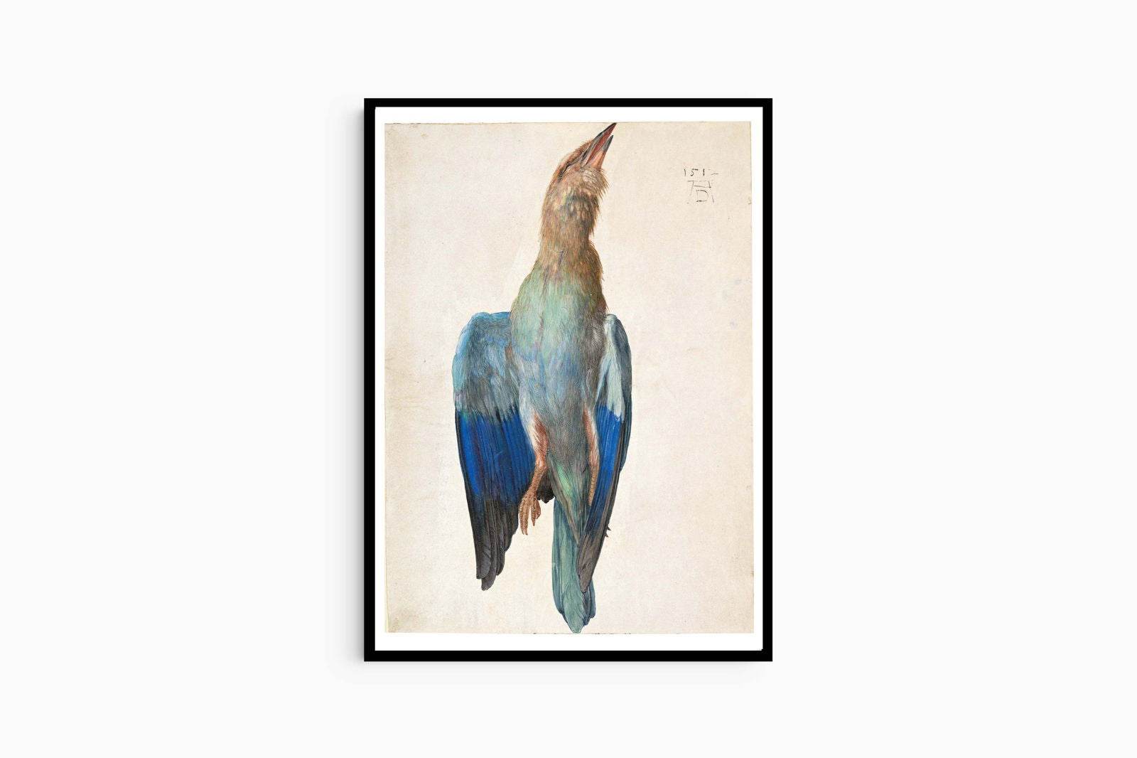 Albrecht Dürer - Dead Blue Roller - Hakyarts