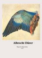 Albrecht Dürer - Wing of a Blue Roller Poster