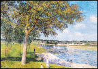 Alfred Sisley - Un Noyer Dans La Prairie De Thomery - Hakyarts