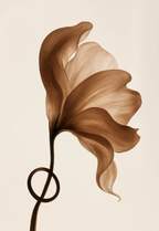 Set of 3 Black & Yellow Dot Composition, Amber Floral Ray & Mid-Century Birds | Contemporary, Floral & Scandinavian Art Prints