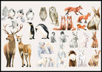 Animal Forest Poster