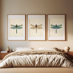 Dragonfly Specimen Posters – Set of 3 - Hakyarts