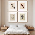 Set of 4 Art Prints – Vintage Birds - Hakyarts