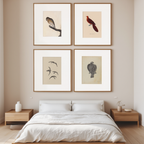 Set of 4 Art Prints – Vintage Birds - Hakyarts