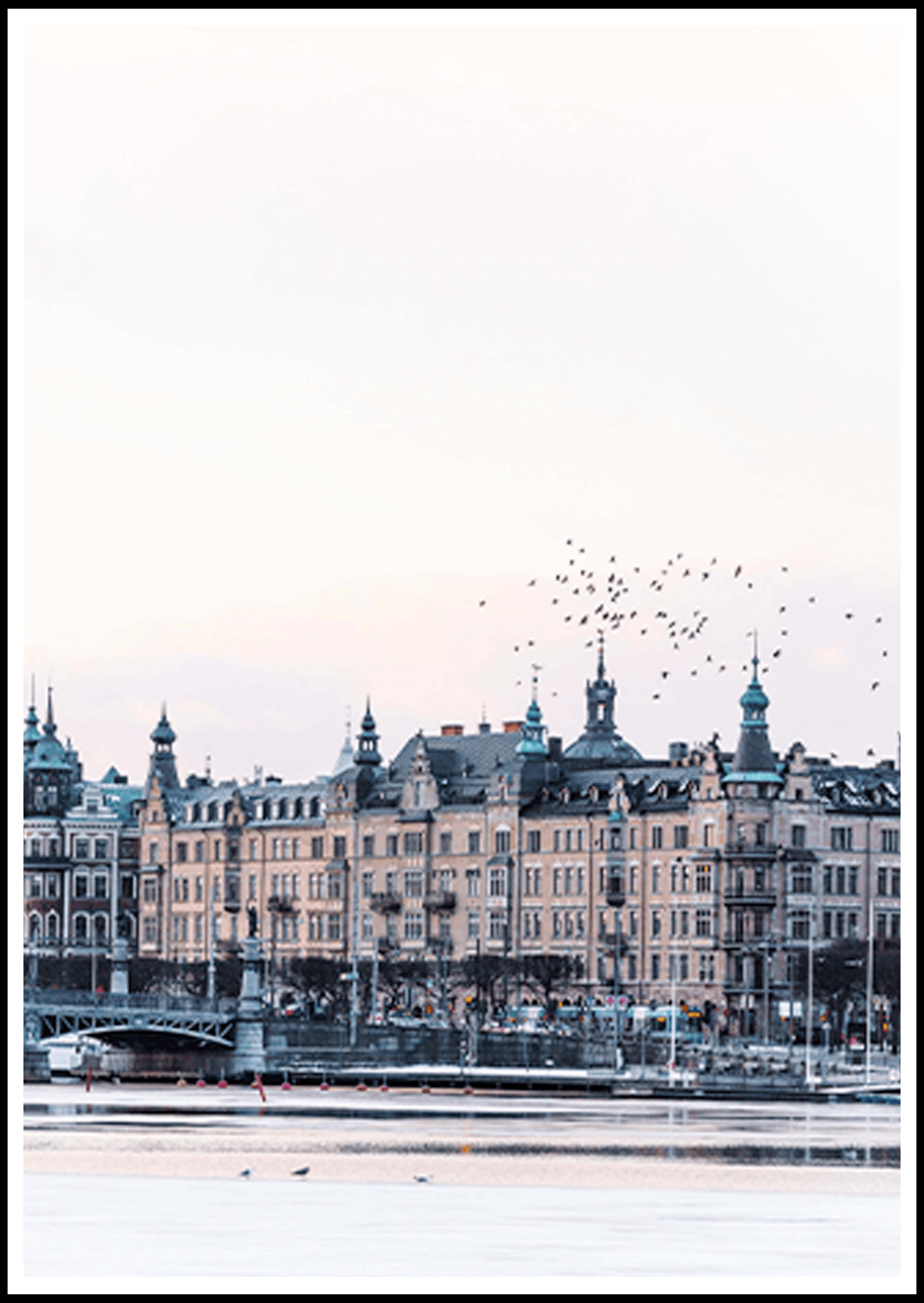 Birds Flying over Stockholm Poster - Hakyarts
