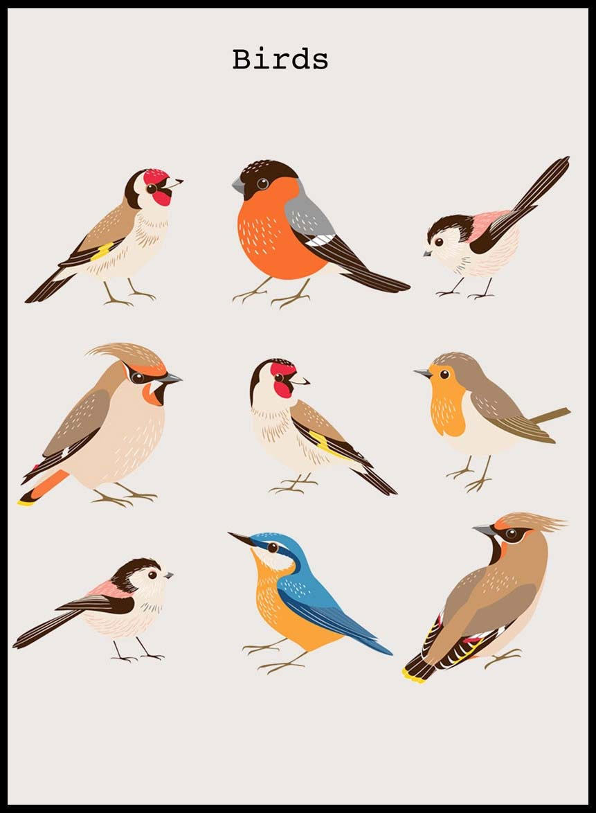 Birds Poster No 2