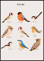 Birds Poster No 2