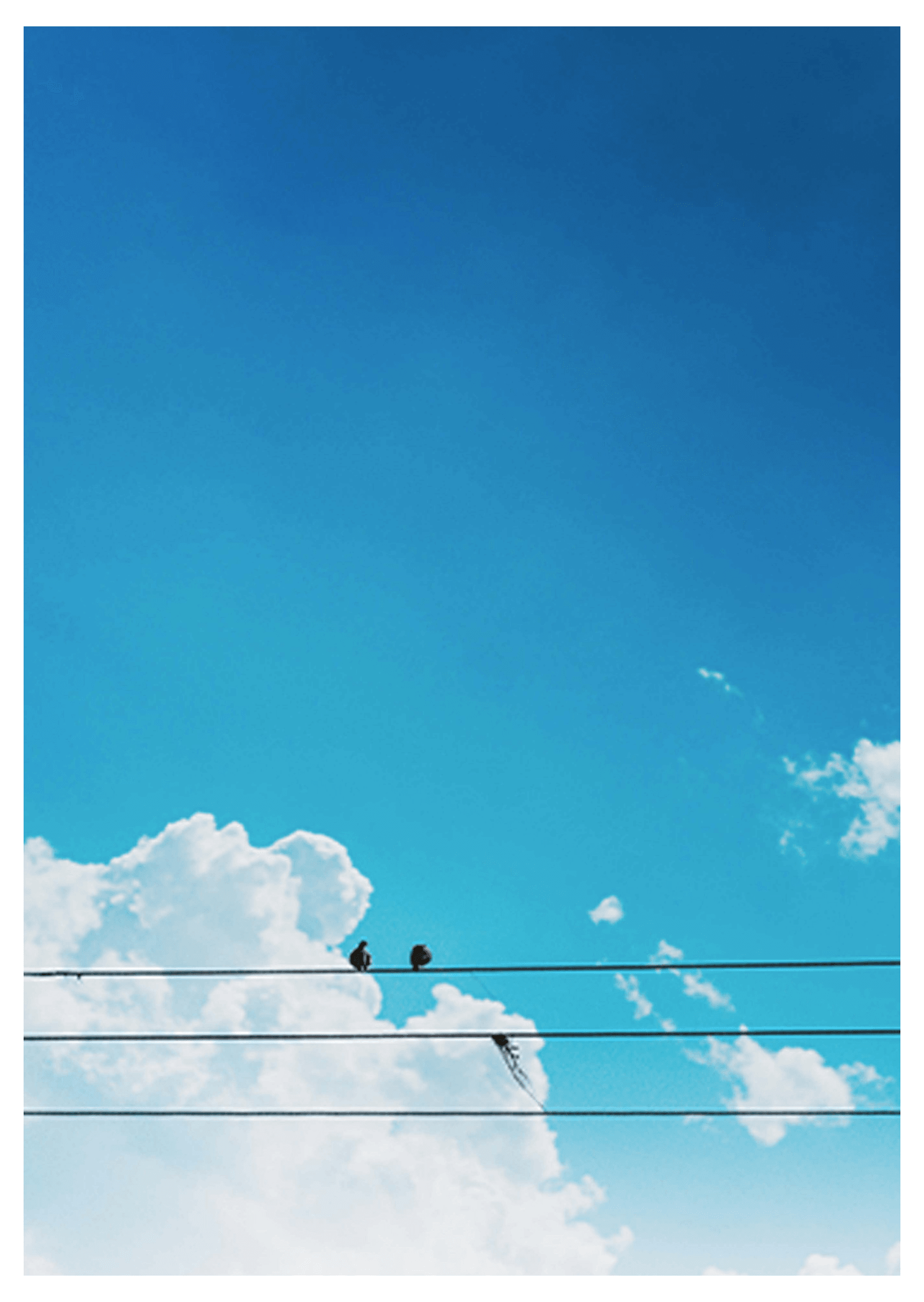 Birds on a String Poster - Hakyarts