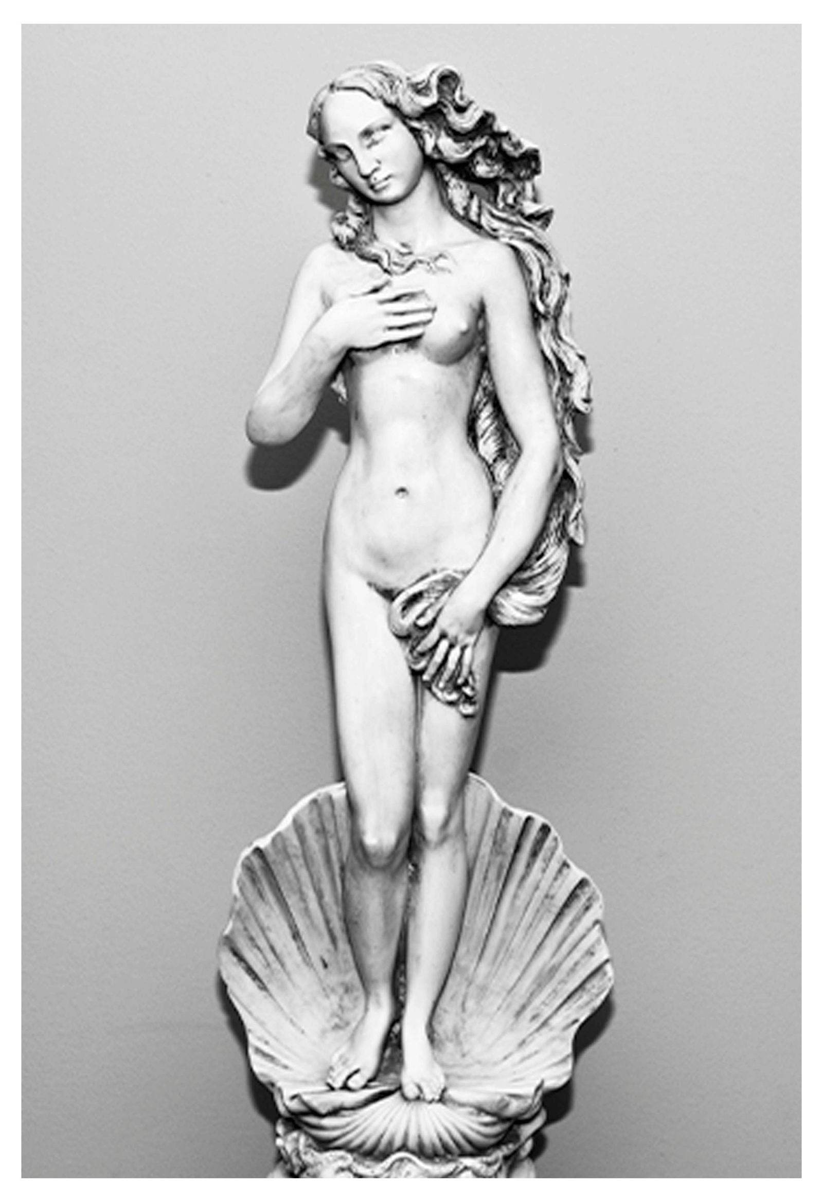 Birth of Venus Statue Poster - Hakyarts