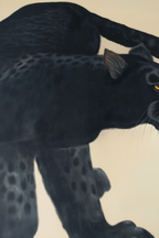 Set of 2 Black Panther Prints – Elegant Minimalist Wall Art - Hakyarts