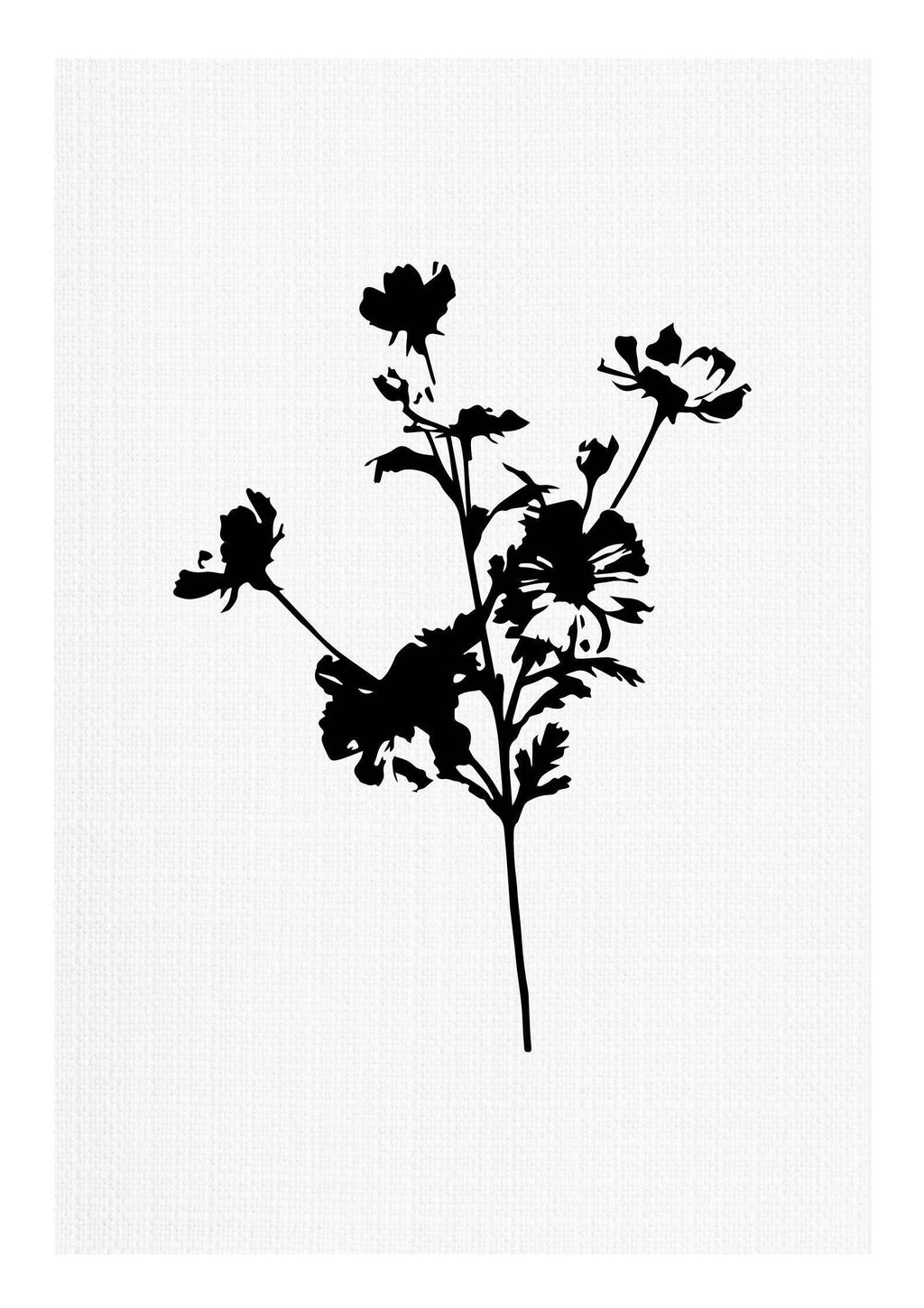 Black and White Pressed Flower No1 - Hakyarts