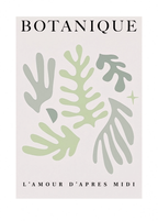 Botanique L'Amour D'Après Midi Poster