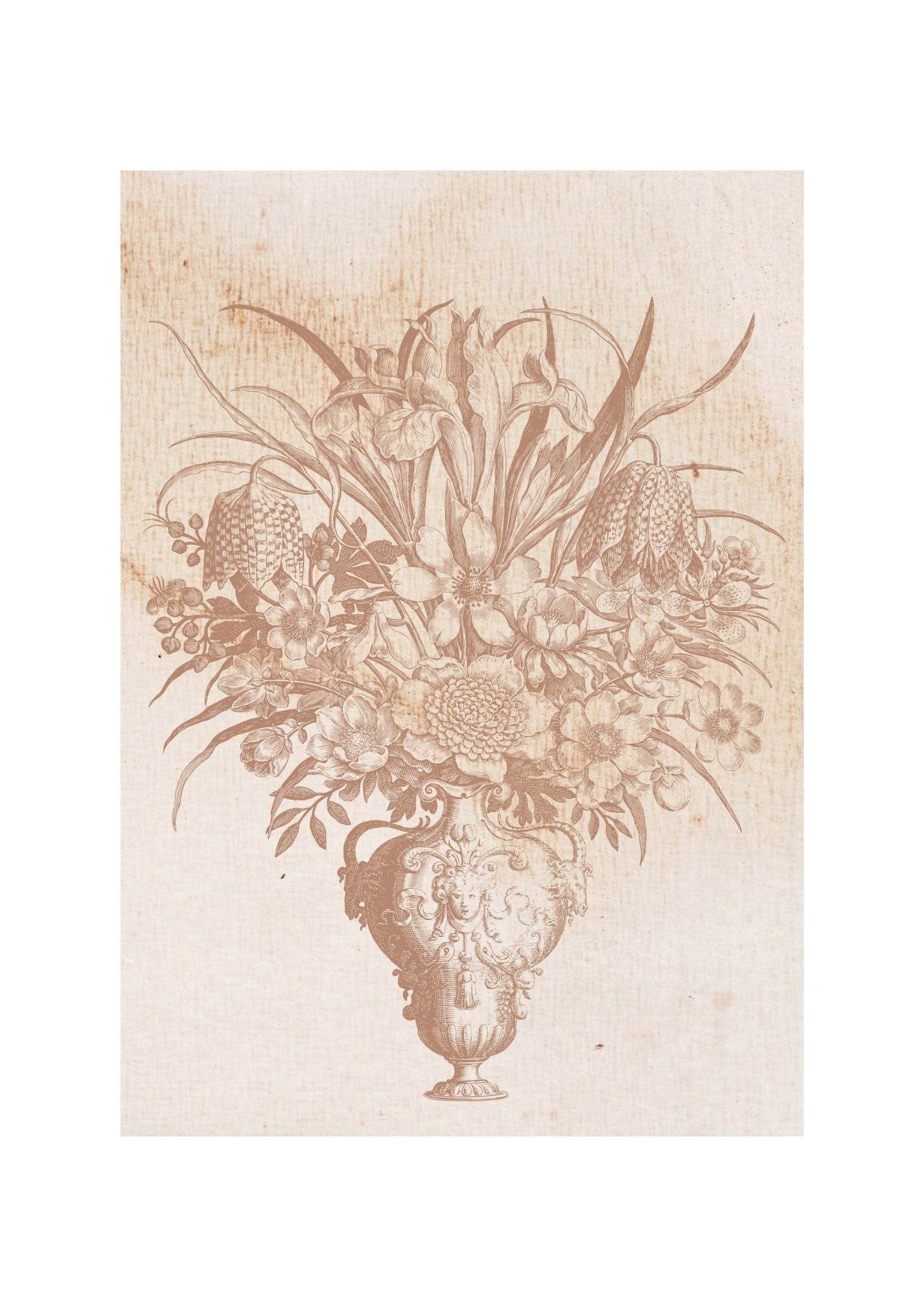 Set of 2 Muscat Brown & Vintage Botanical Wall Art Prints – Minimalist Color Art & Botanica Gallery Set - Hakyarts