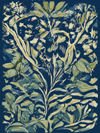 Arts & Crafts Botanical Set – 5 William Morris Prints - Hakyarts