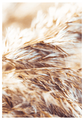 Breeze Poster - Hakyarts