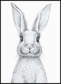 Bunny Poster