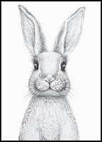 Bunny Poster