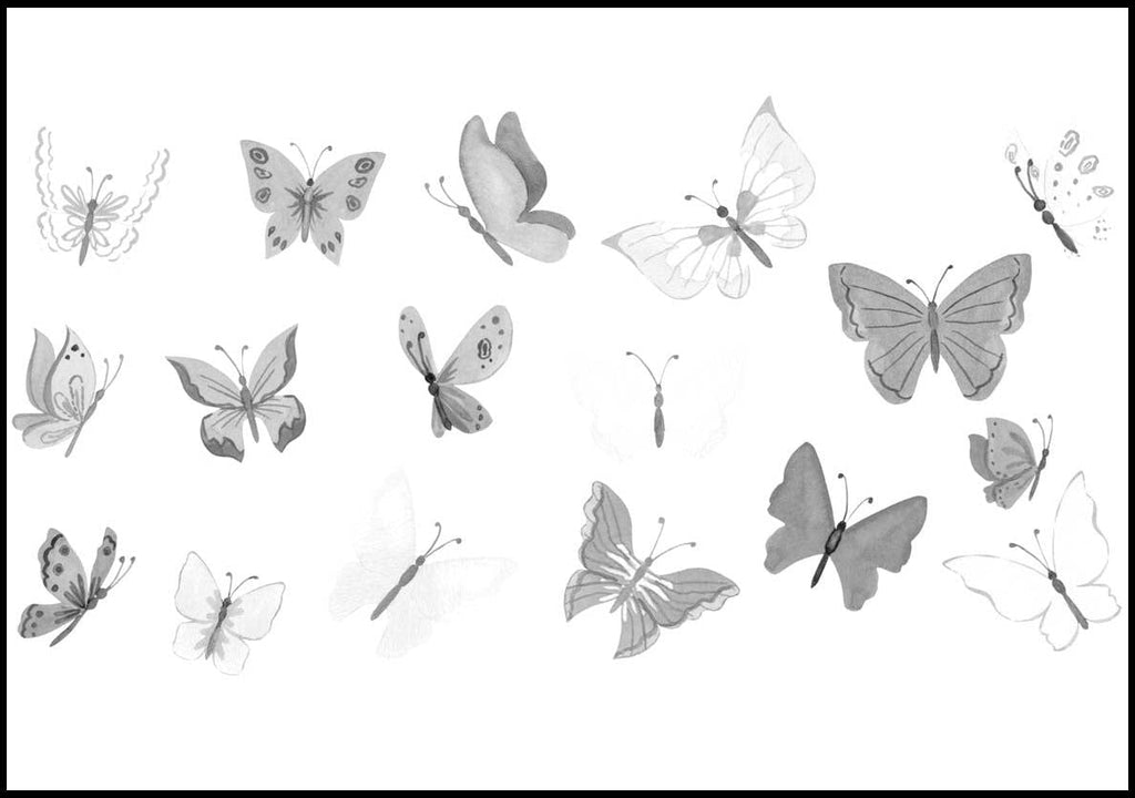 Butterflies Poster