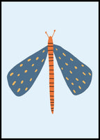 Butterfly Poster