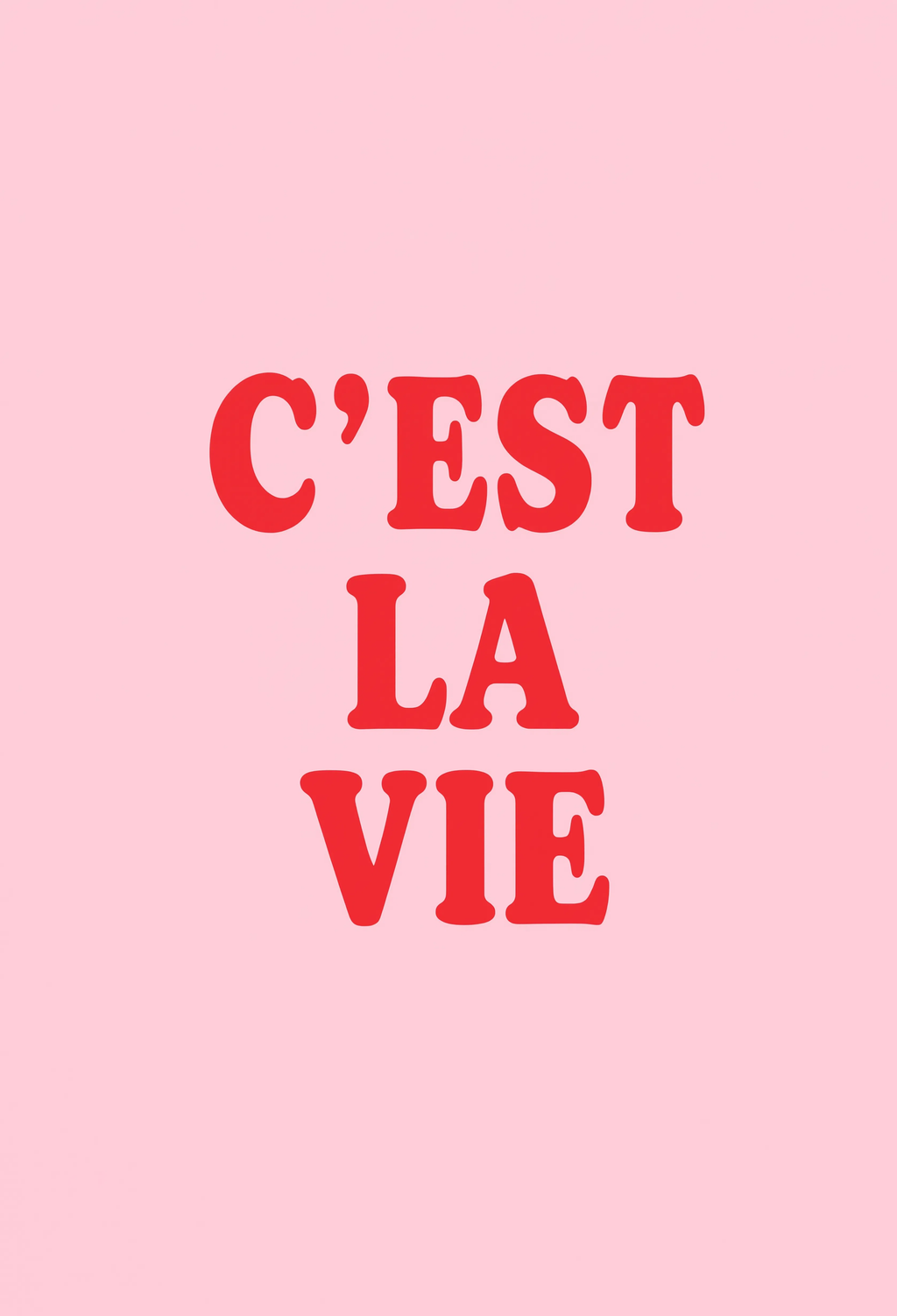 C'est La Vie | Modern Typography Wall Art