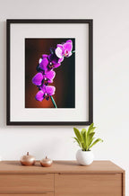 Calla Lilies Flowers Poster - Hakyarts