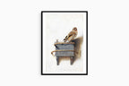 Carel Fabritius - The Goldfinch