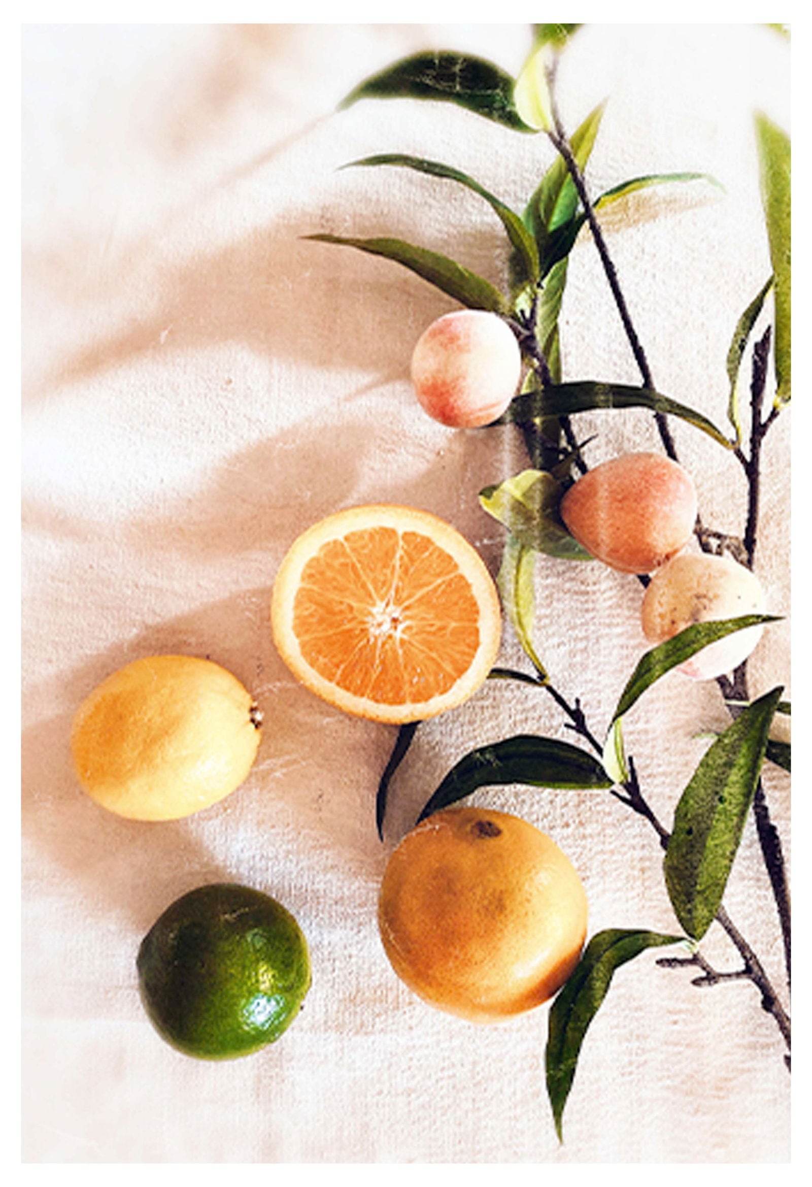 Citrus Poster - Hakyarts