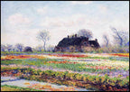 Claude Monet - Tulpenfelder in Sassenheim