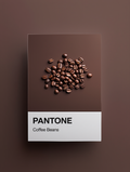 Pantone Inspired Dark Coffee Beans – Minimalist Color Code Art Print