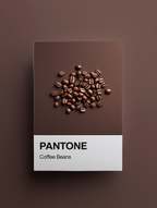 Pantone Inspired Dark Coffee Beans – Minimalist Color Code Art Print