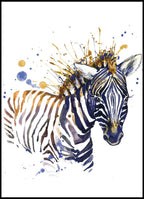 Colorful Zebra