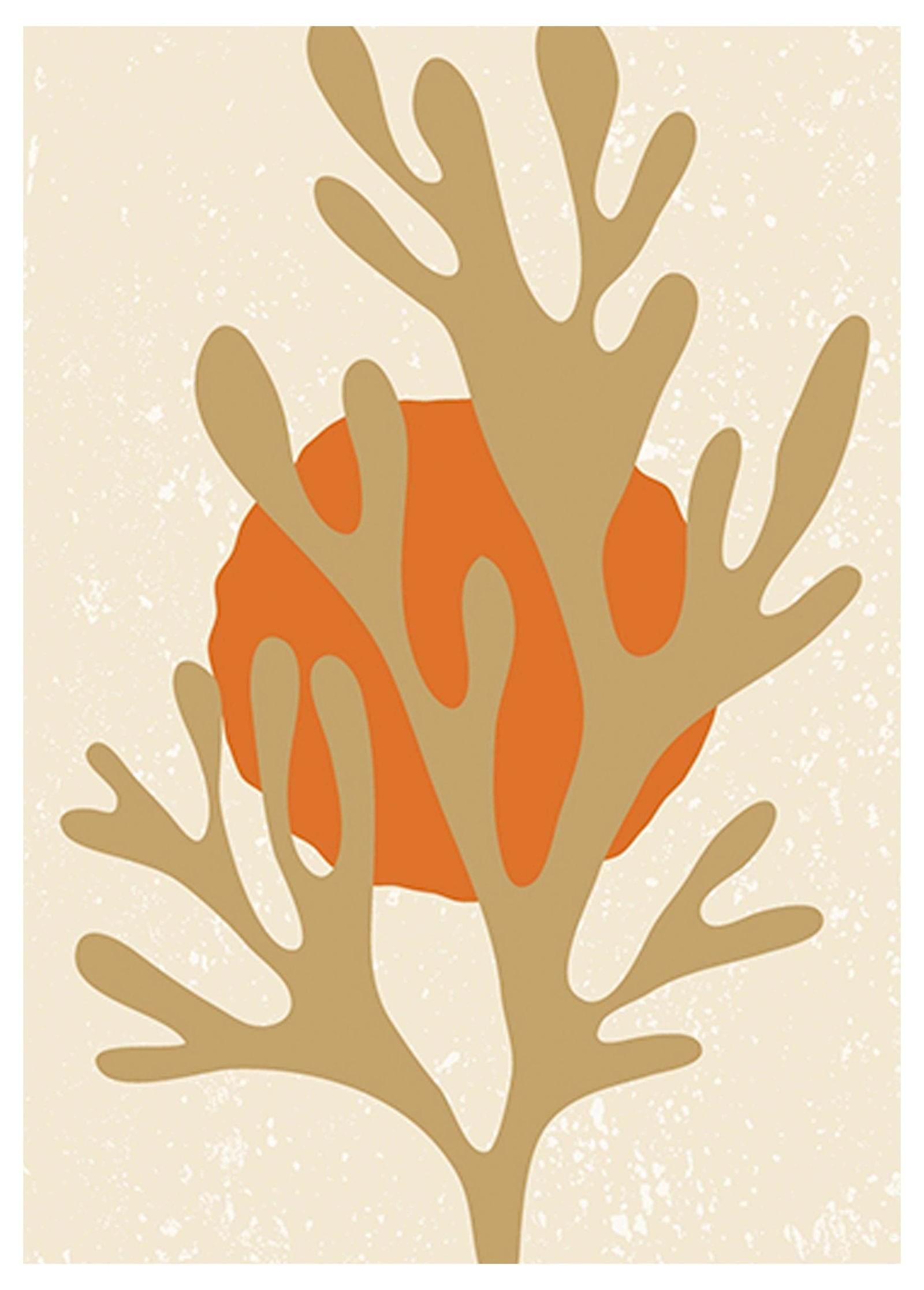 Colourful Coral Poster - Hakyarts