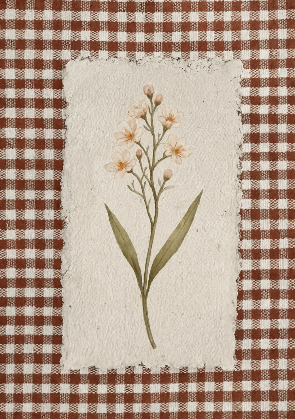 Cream Wildflower Sprig Study | Contemporary Botanical Art Print
