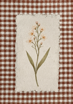 Cream Wildflower Sprig Study | Contemporary Botanical Art Print