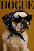 DOGUE – French Bulldog Mustard Wall Art Print | Bold Fashion Dog Poster | Minimalist Pet Decor