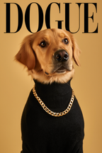 Dogue – Golden Retriever Fashion Cover – Minimalist Wall Art Print