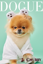 Dogue – Pomeranian Fashion Cover – Minimalist Wall Art Print