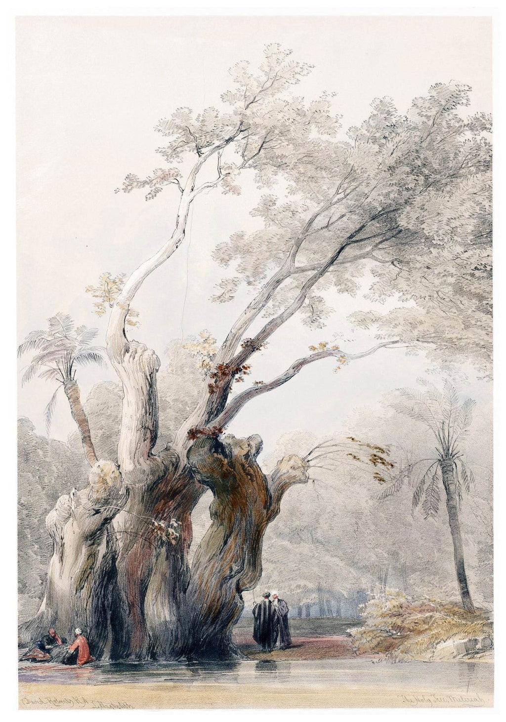 David Roberts - The Holy Tree of Metereah - Hakyarts