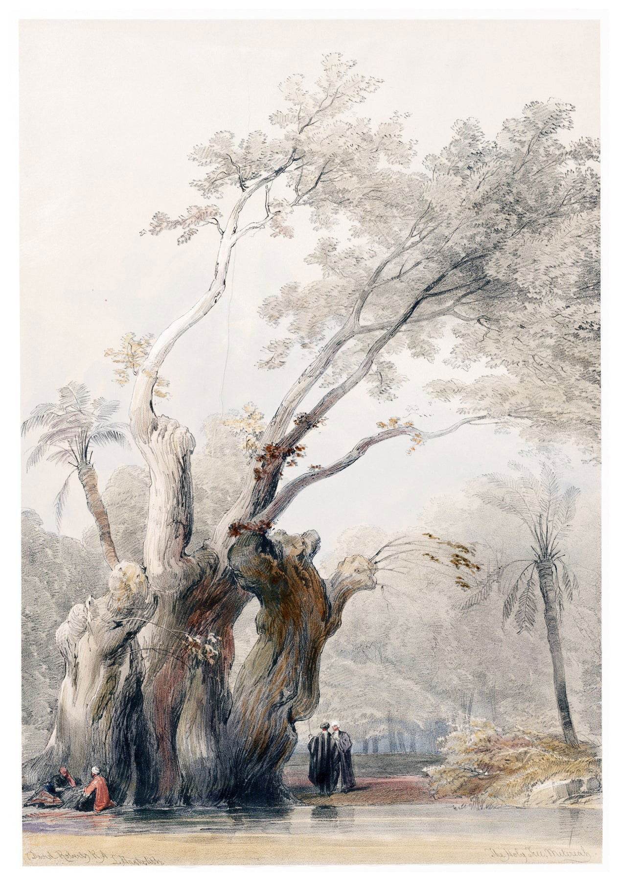 David Roberts - The Holy Tree of Metereah - Hakyarts