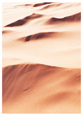 Desert Poster - Hakyarts