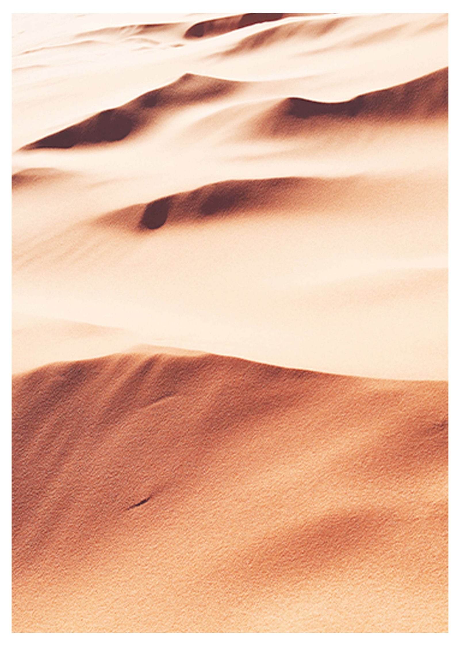 Desert Poster - Hakyarts